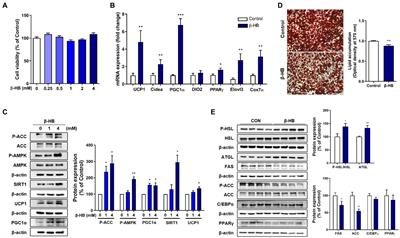 Ketogenic diet with aerobic exercise can induce fat browning: potential roles of β-hydroxybutyrate